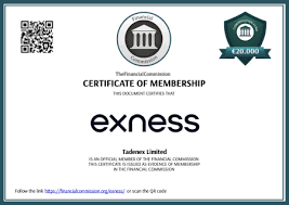 Discover the Power of Trading with Exness Trading App