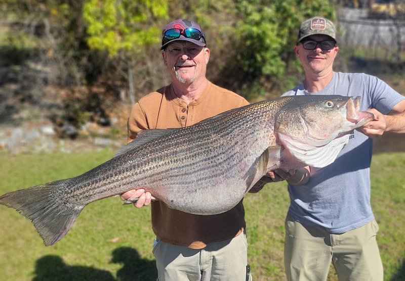 Catch the Cold Cash at UK's Top Ice Fishing Online Casinos