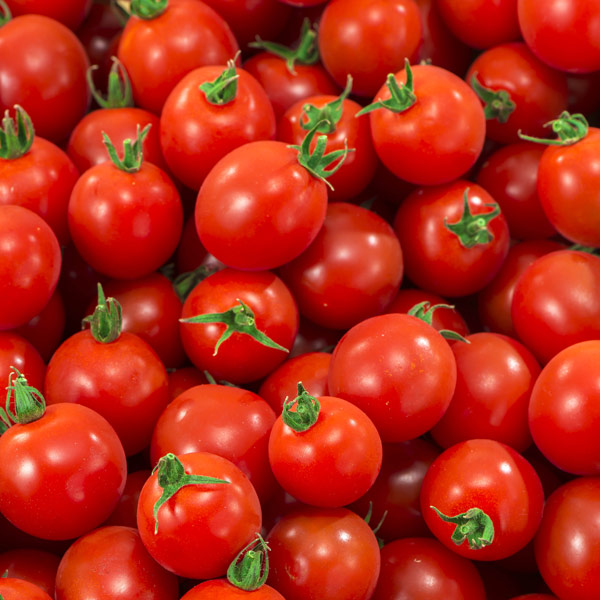 tomatoes